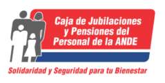 CAJA DE JUBILACIONES Y PENSIONES DEL PERSONAL DE LA ANDE Logo